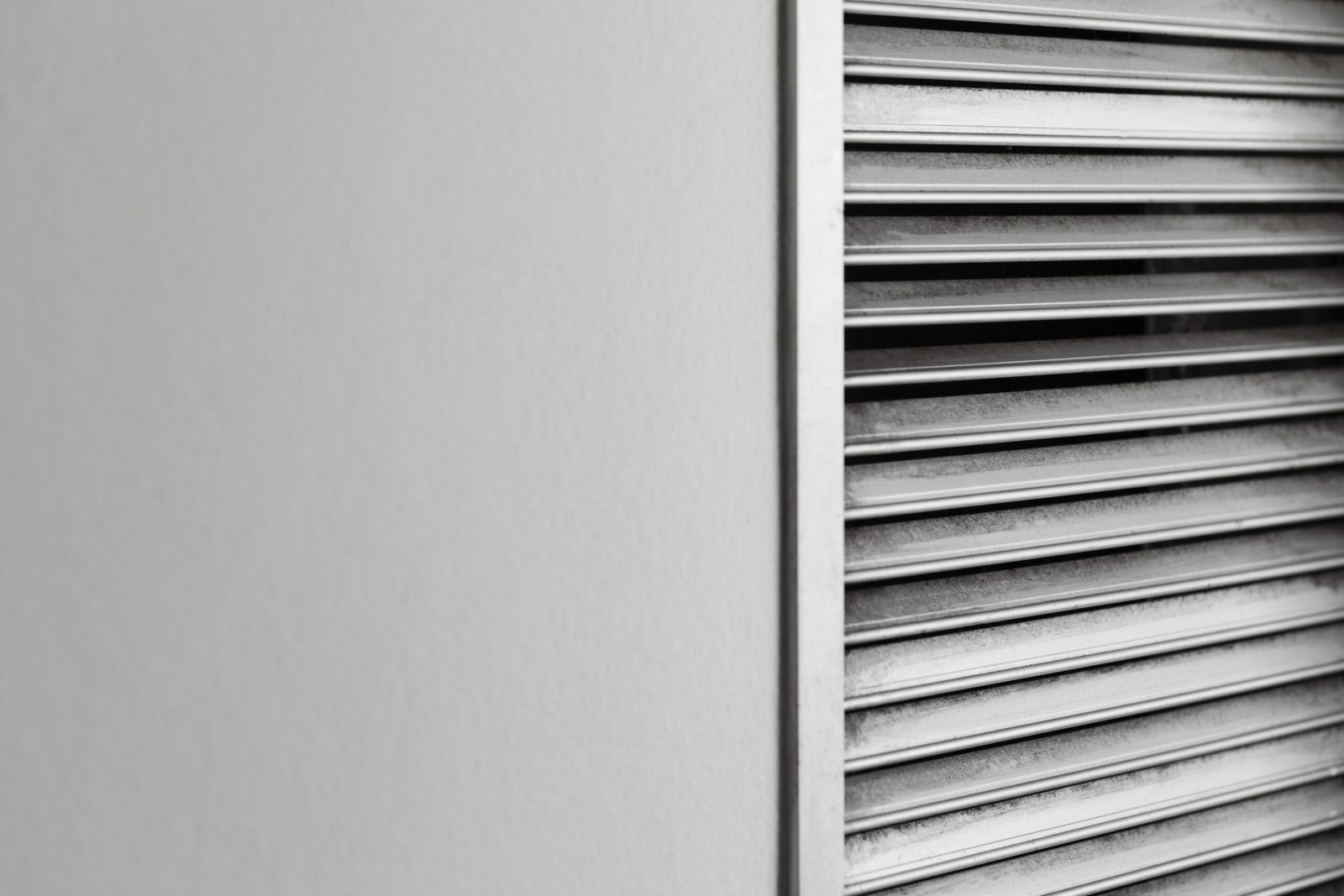 أسعار الشتر